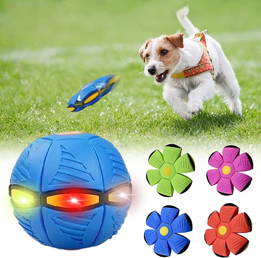 Beckett dog frisbee in bright blue with white logo, made of durable plastic, designed for active outdoor play with dogs.