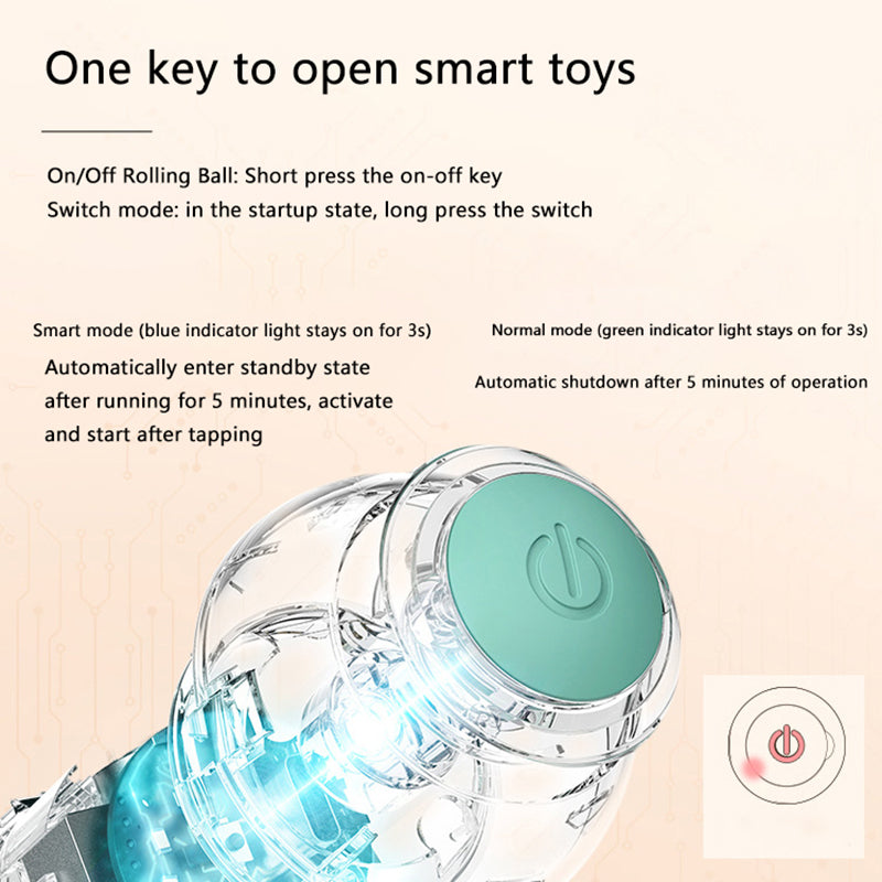 Beckett interactive electric cat ball toy with automatic rolling and self-moving features for entertaining and training cats.
