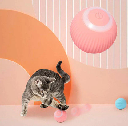 Beckett interactive electric cat ball toy, self-moving and rolling for playful kittens and cats, designed for engaging pet entertainment