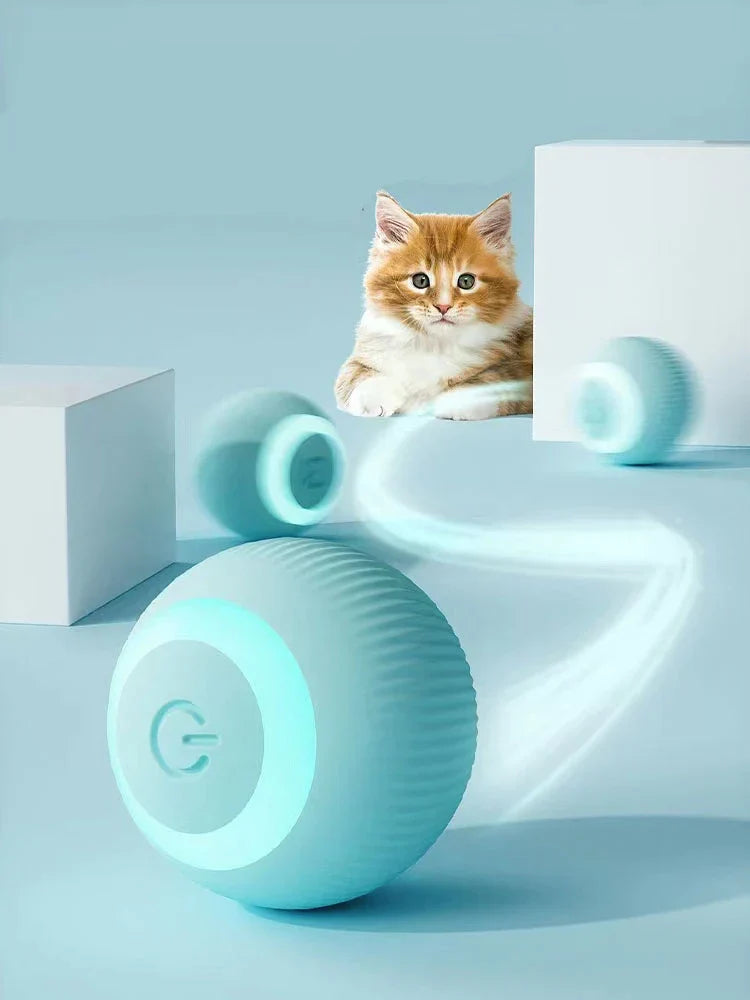Beckett interactive electric cat ball toy rolling automatically, designed for engaging and training cats with self-moving features.