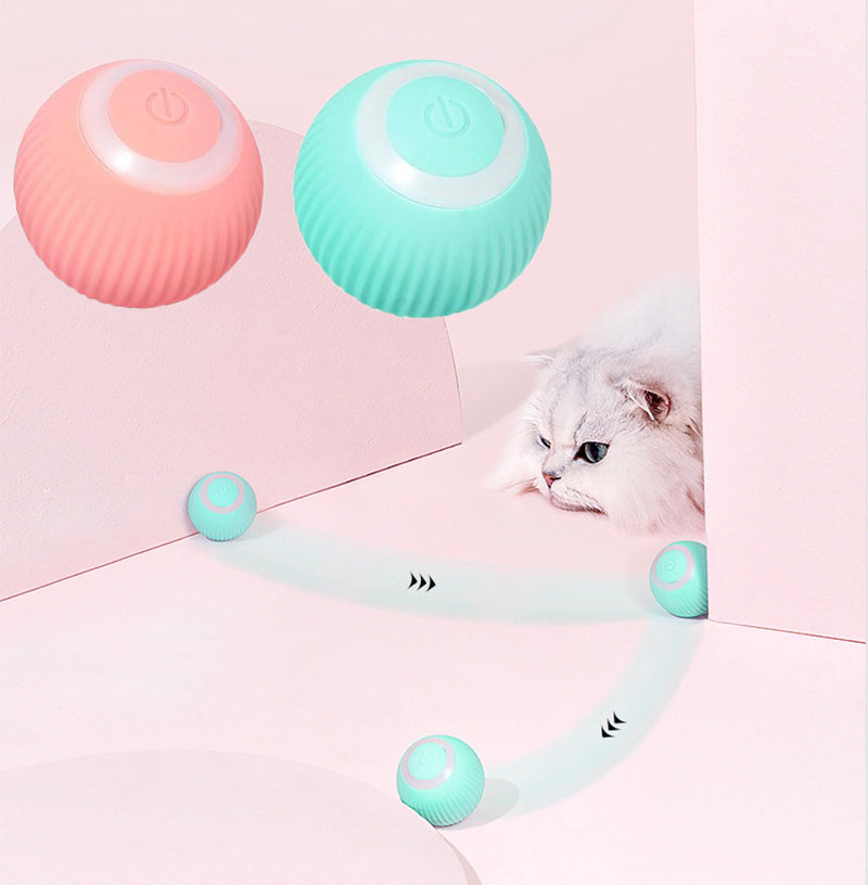 Beckett interactive ball for pets, soft rubber toy with textured surface, suitable for chewing and interactive play.
